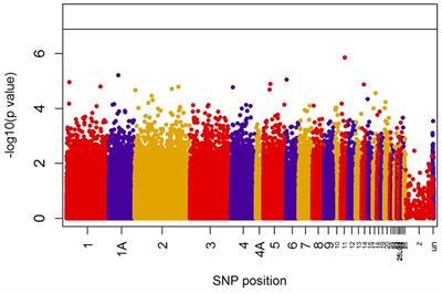 Environment-Dependent Genotype-Phenotype Associations in Avian Breeding Time